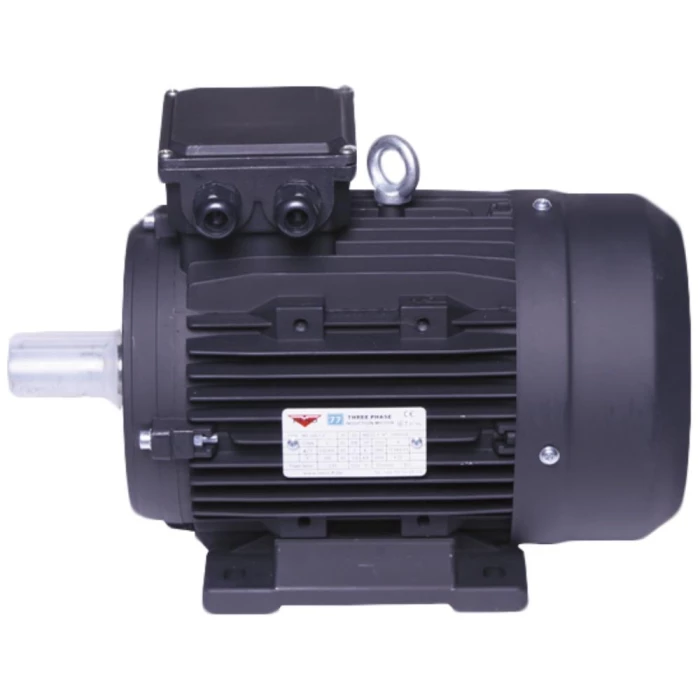 Motor 3,0 kW 4,0 HK 2800 omdr.