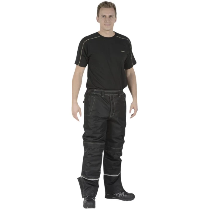 Medusa Polar buks