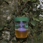 Ryom Hvepsefælde Solar/LED 2 stk