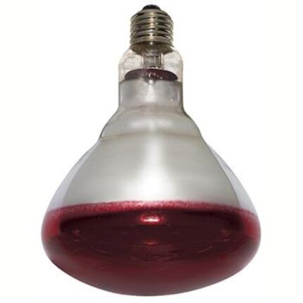 Varmepære Philips 250W