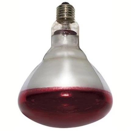 Varmepære Philips 250W