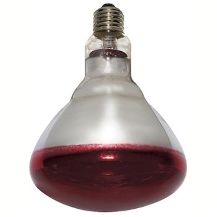 Varmepære Philips 250W