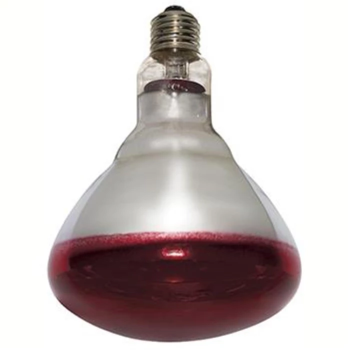 Varmepære Philips 250W