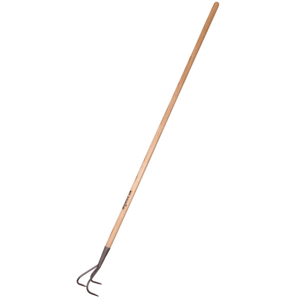 Galax kultivator/havekratte Galax kultivator/havekratte