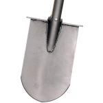 Galax skovspade lang skinne Galax skovspade lang skinne