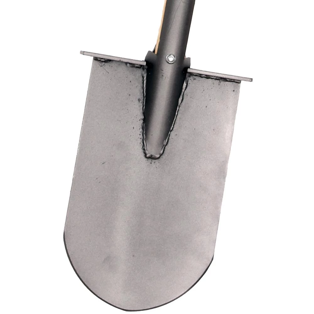 Galax skovspade lang skinne Galax skovspade lang skinne