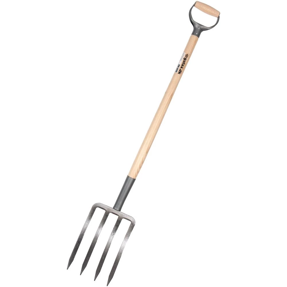 Galax gravegreb Galax gravegreb