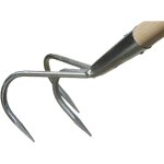 Galax kultivator/havekratte Galax kultivator/havekratte