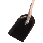 Galax staldskovl rå blad stor Galax staldskovl rå blad stor