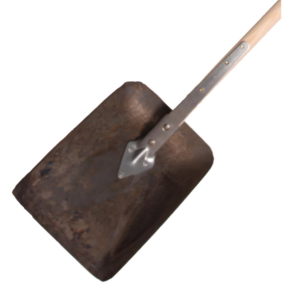 Galax graveskovl rå blad Galax graveskovl rå blad