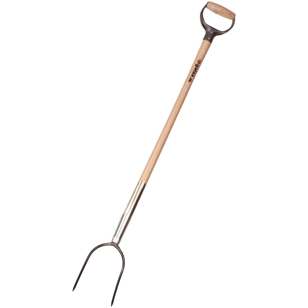 Galax ballegreb Galax ballegreb