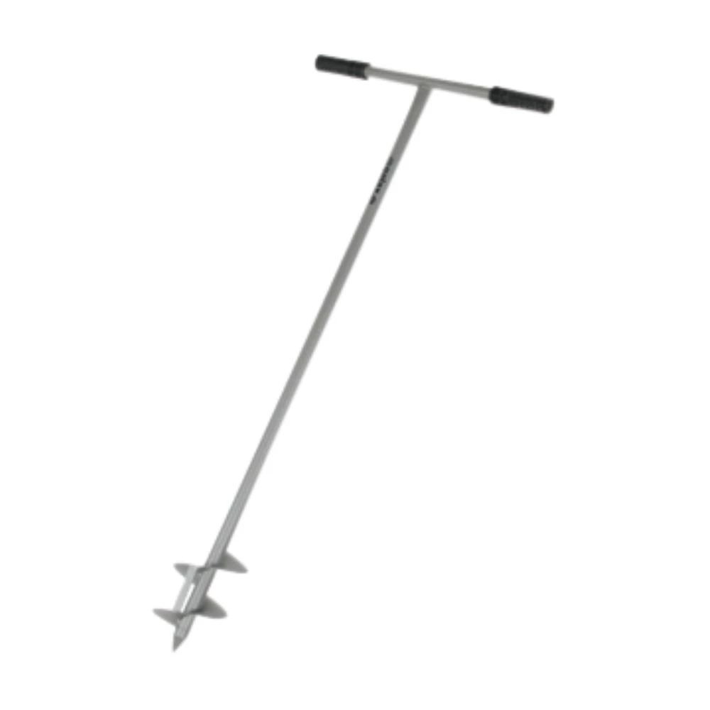 Galax pælebor Galax pælebor