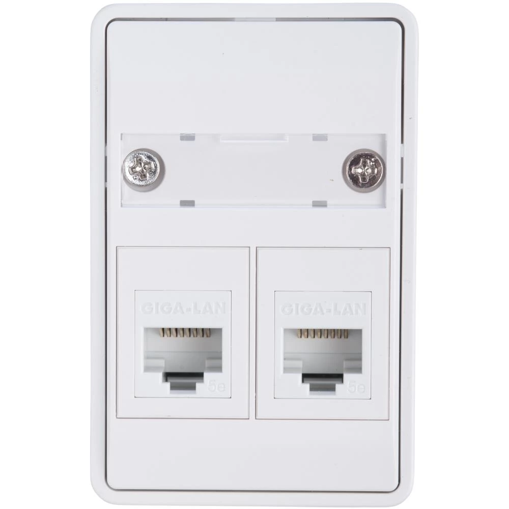 Dataudtag 1,5 modul 2 stik Dataudtag 1,5 modul 2 stik