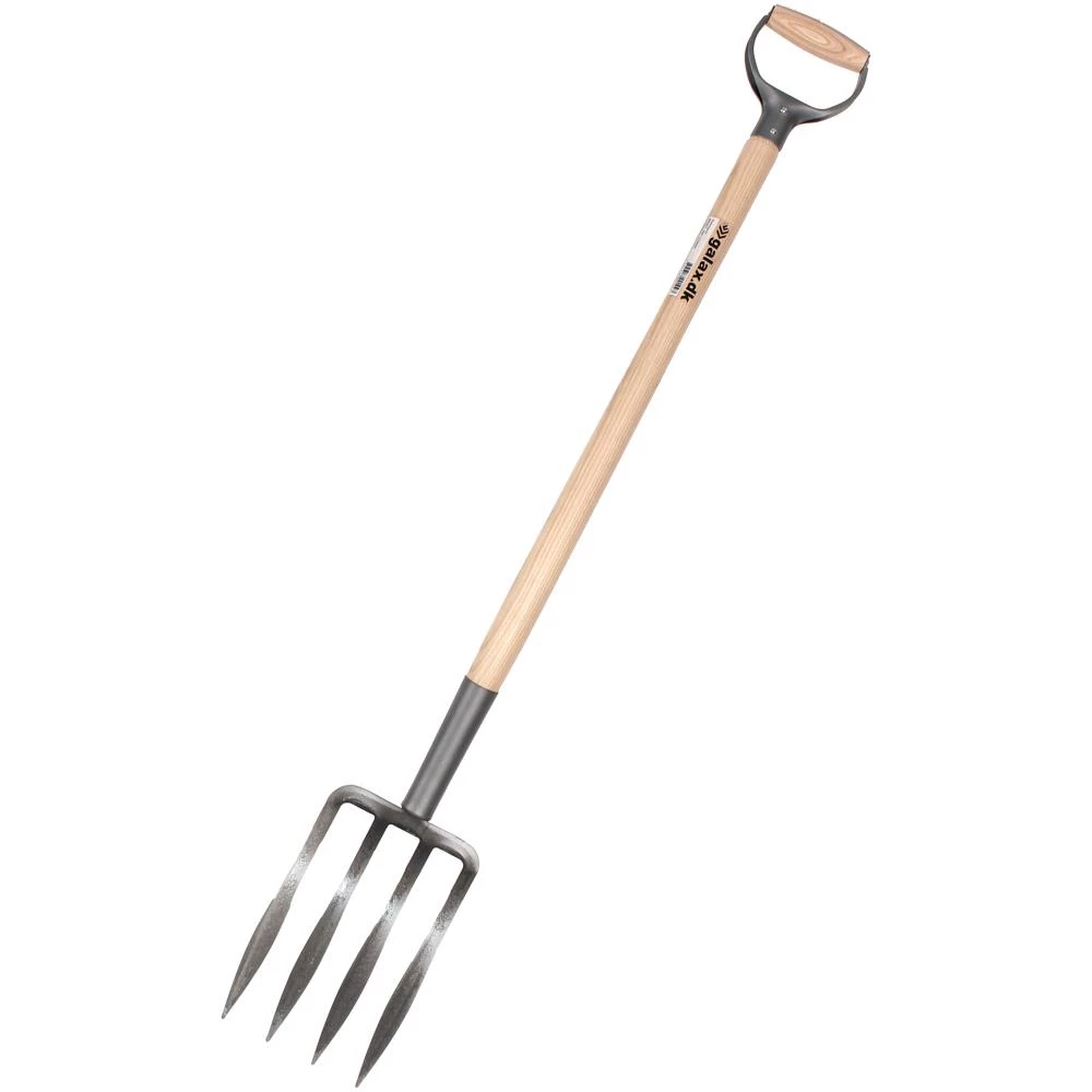 Galax gravegreb Galax gravegreb