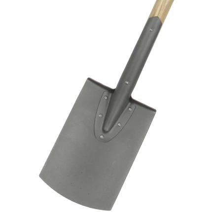 Galax damespade, lang