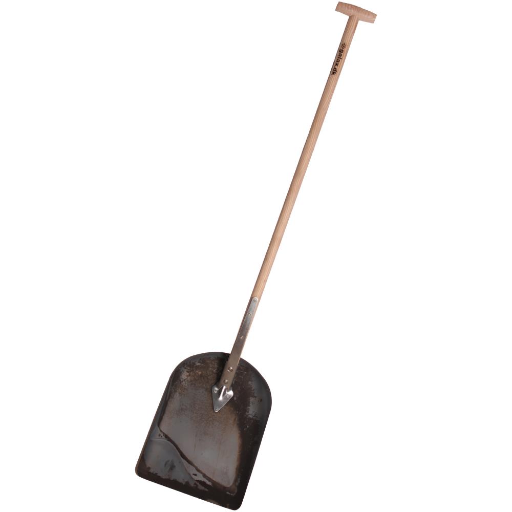 Galax staldskovl rå blad lille Galax staldskovl rå blad lille