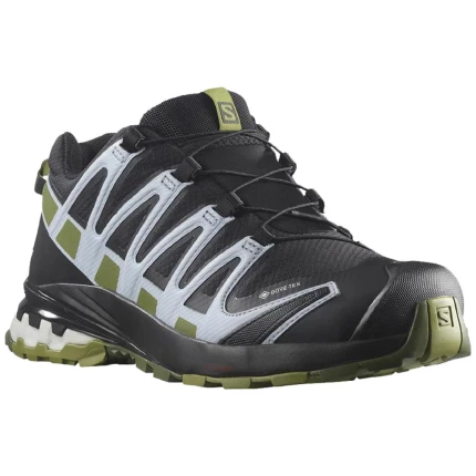 Salomon XA Pro3D V8 GTX trailsko dame sort/grøn