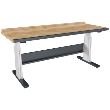 Værkstedsbord VBB-2.20 Ergo 500, RAL7016